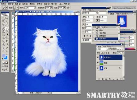 抠图抠不干净ps用哪个工具,ps抠图和ai抠图区别