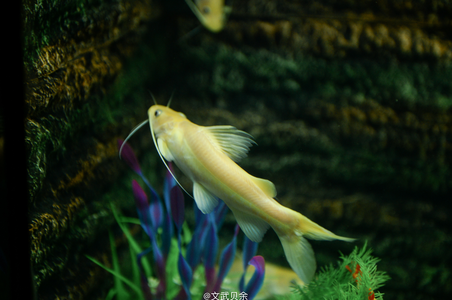 六安九十里山水画廊攻略,六安九十里山水画廊是啥