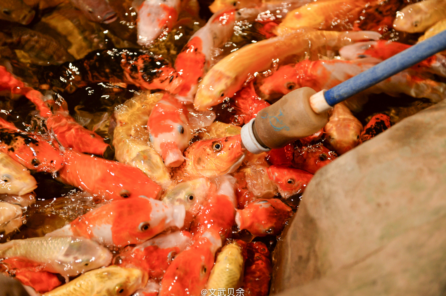 六安九十里山水画廊攻略,六安九十里山水画廊是啥