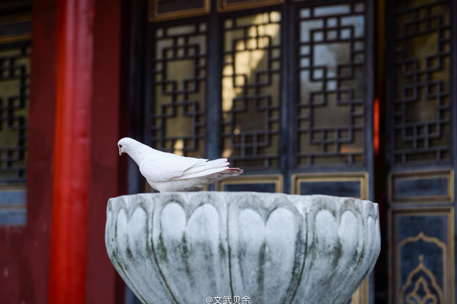 六安九十里山水画廊攻略,六安九十里山水画廊是啥