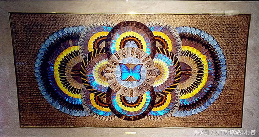 上海昆虫博物馆蜘蛛,上海昆虫博物馆珍藏馆