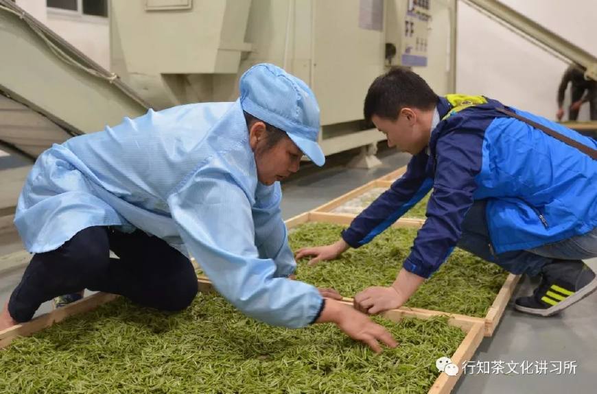 温州问道,温州问界