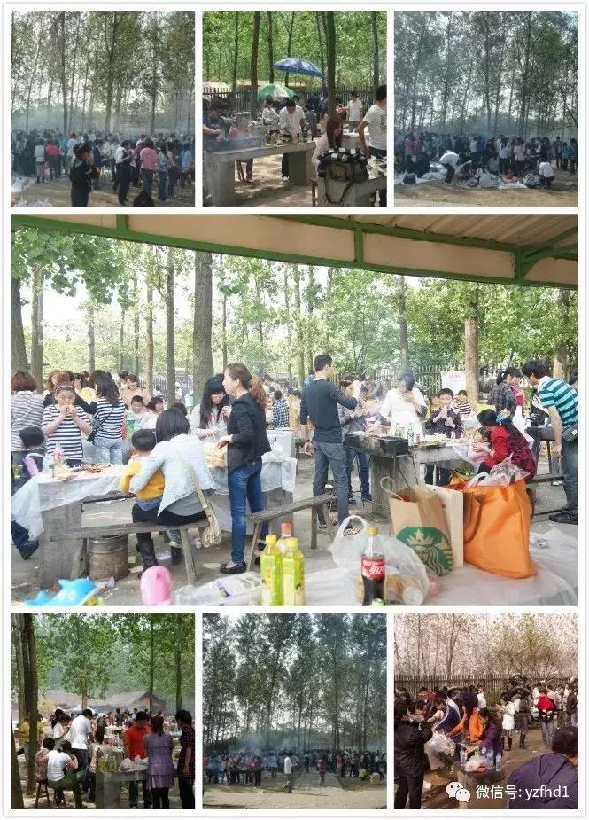 扬州中国风湿地公园,六月的扬州湿地公园