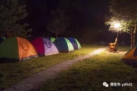 扬州中国风湿地公园,六月的扬州湿地公园