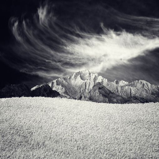 一花一世界一叶一菩提本来无一物,一花一世界一叶一菩提