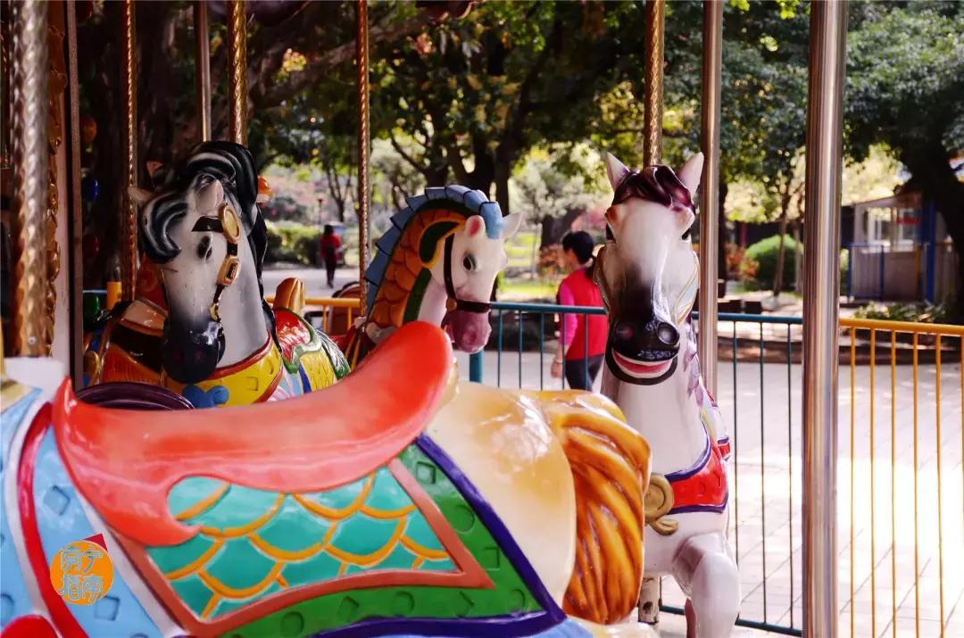 金花茶公园景点,走进金花茶公园