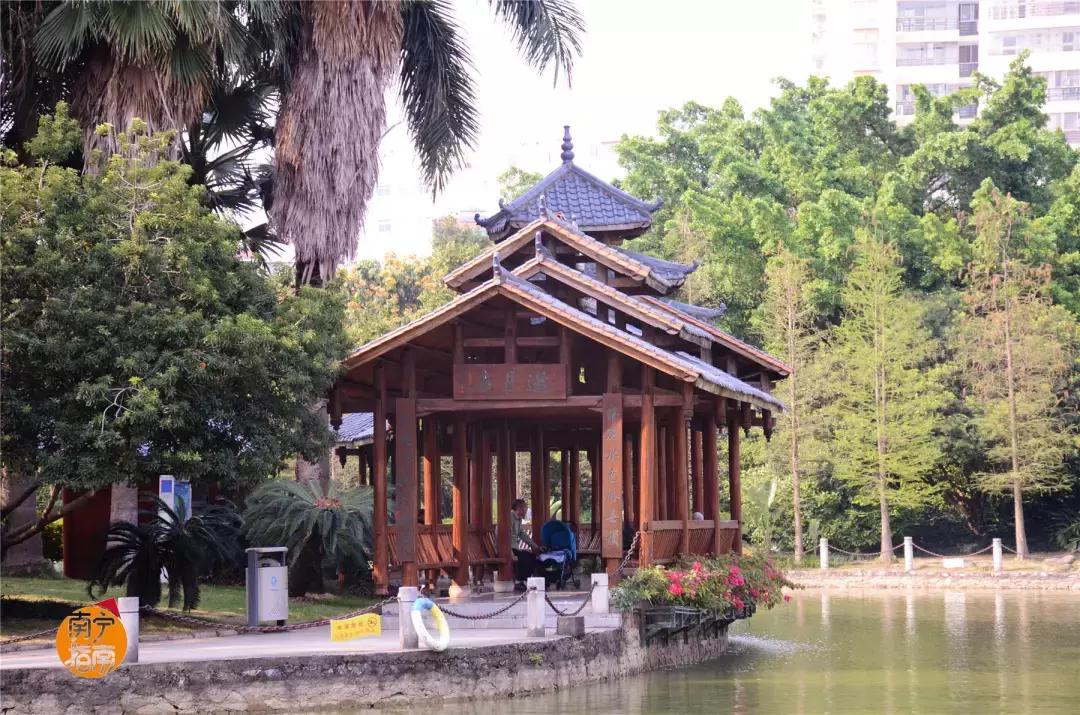 金花茶公园在什么地方,金花茶公园最新消息