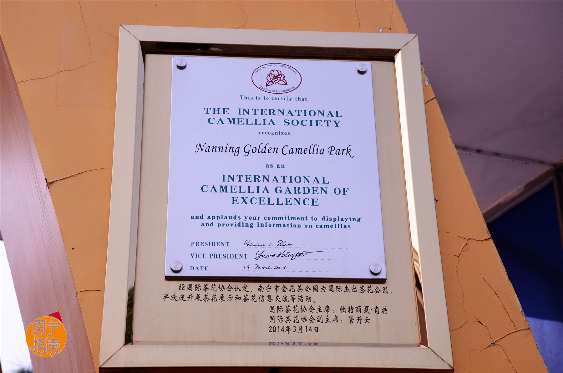 金花茶公园景点,走进金花茶公园