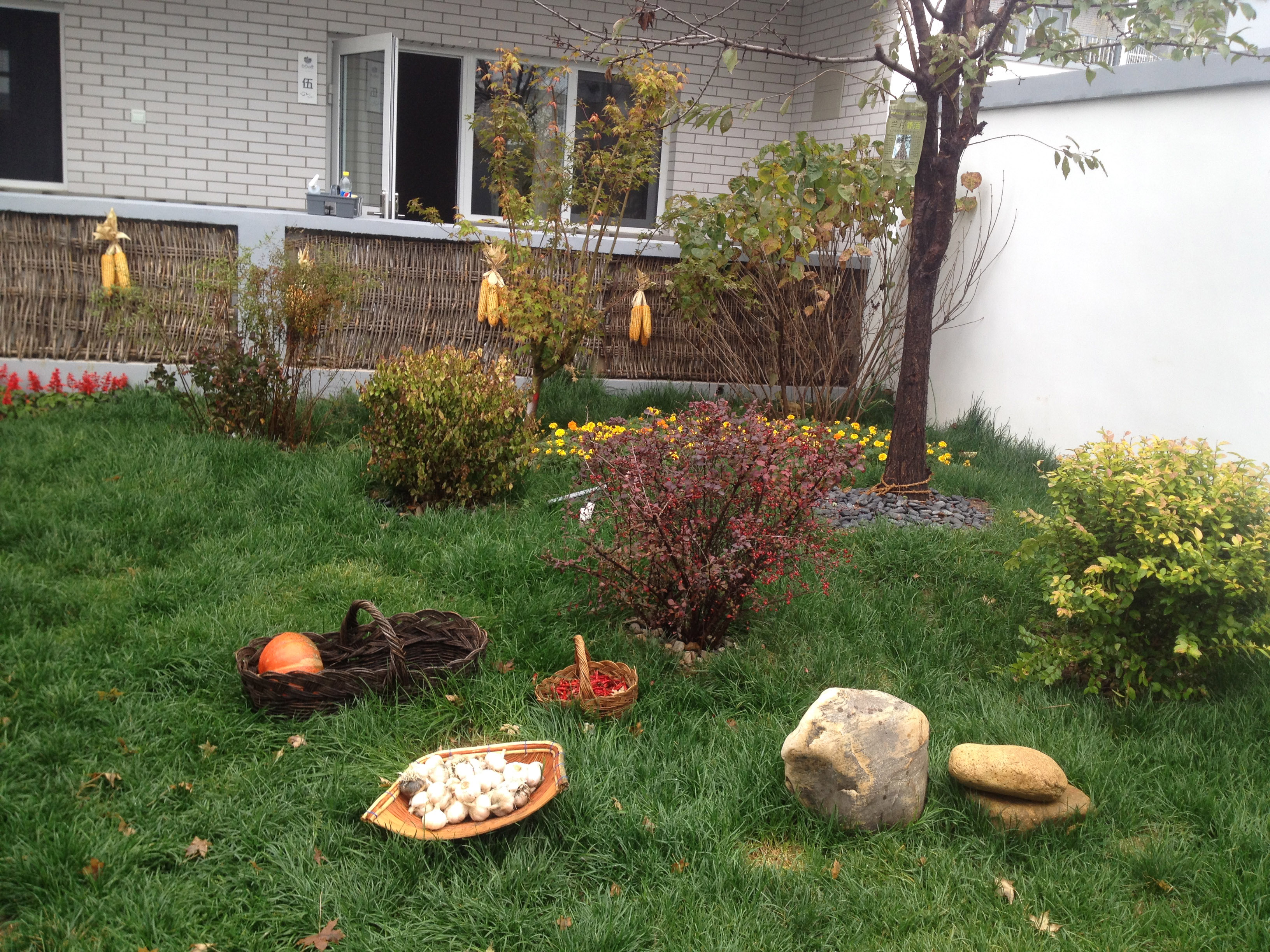 白石山酒店民宿排行榜,百丈山居精品民宿度假酒店