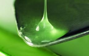 小麦过敏怎么快速消除,换季过敏怎么修护