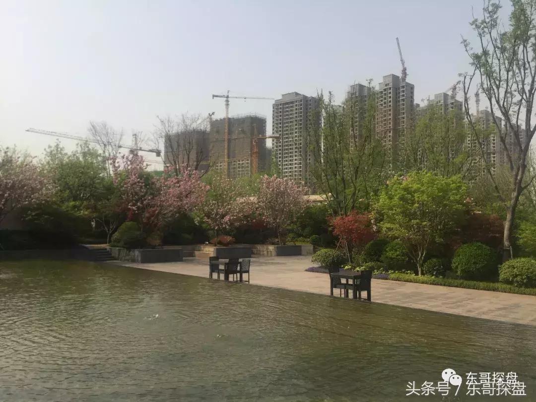 又一神盘诞生，花儿为什么这样红？