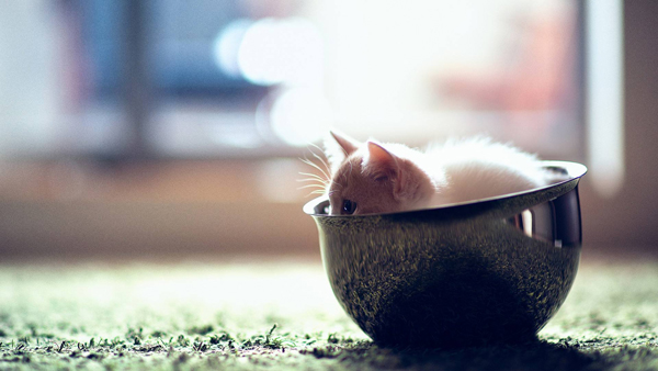 逾期申报在网上怎么处理湖南,逾期申报在网上怎么处理