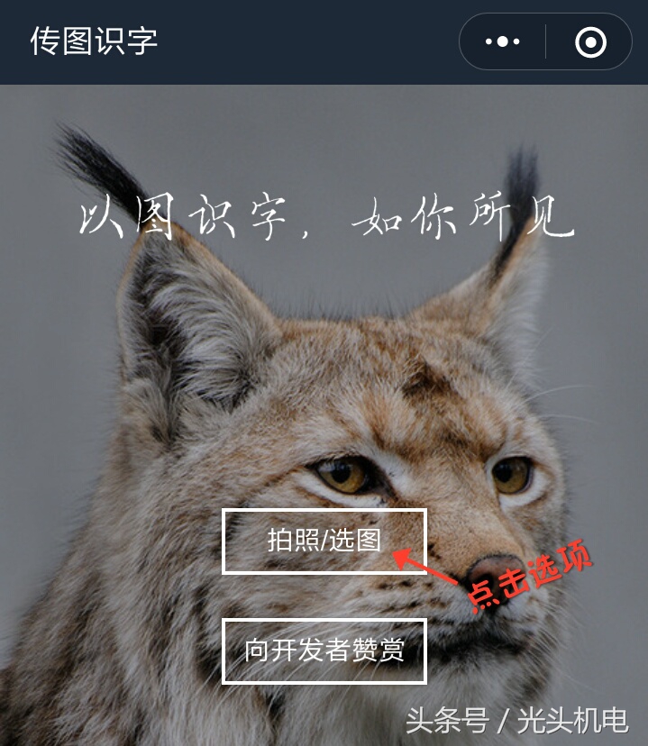 图片文字如何快速转换为电子文档,如何快速将图片文字转换成word