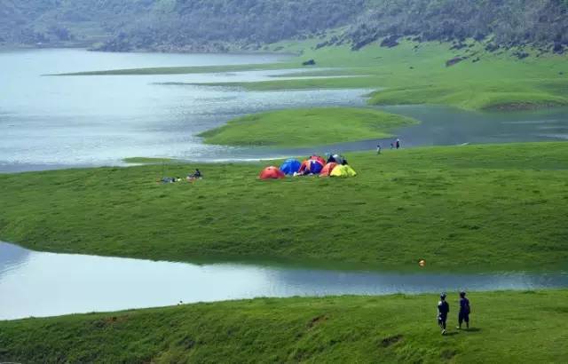 广西最美花海在哪里,广西小众美丽村庄