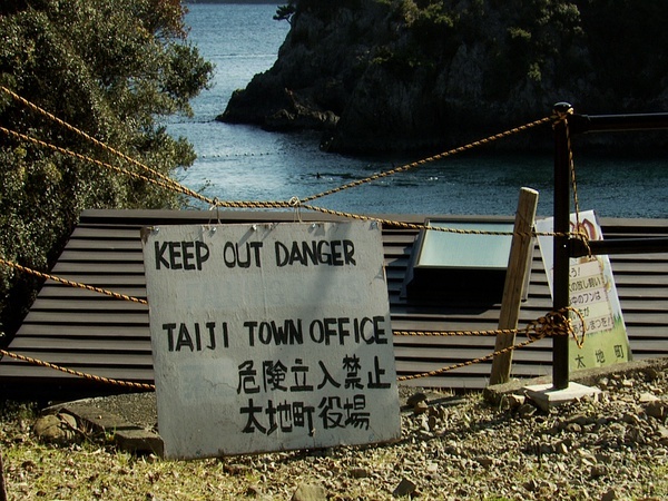 日本屠杀海豚湾动物事件,日本海豚湾屠杀海豚