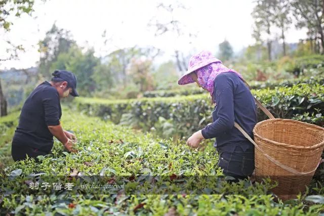云南沧源靠近哪个国家,云南沧源最好玩的地方