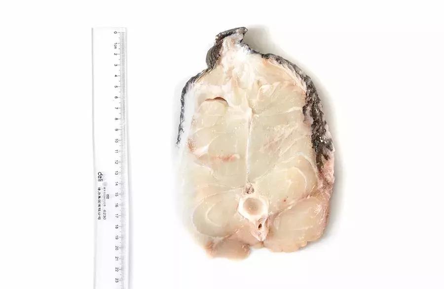 缃戜笂涔扮殑绮惧搧鐚倝,缃戜笂娣樺埌鐨勫ソ涓滆タ