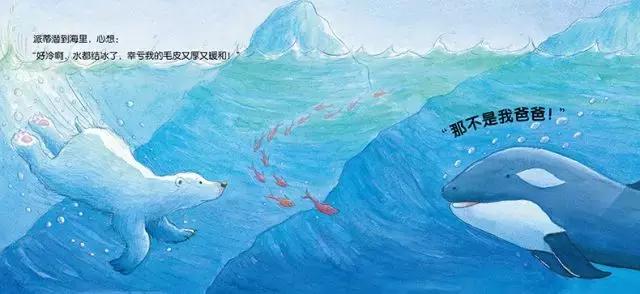 宝宝人生第一篇章,宝宝人生第一年