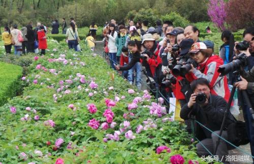国色朝酣酒天香夜染衣怎么读,国色朝酣酒天香夜染衣解释