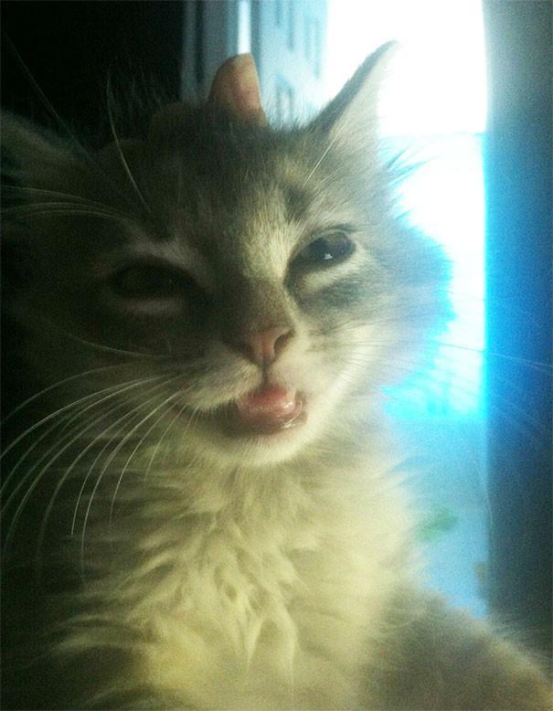 不堪入目，暗访喵届吸毒场所，竟……