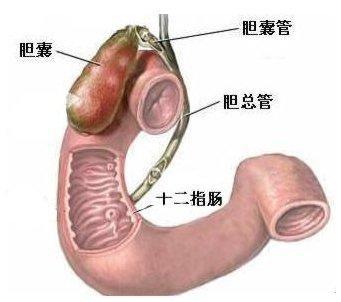 餐后腹痛便后减轻,餐后腹痛是什么原因