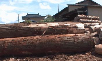 出自日本武士之手的饭盒，竟成INS美食网红摆拍神器