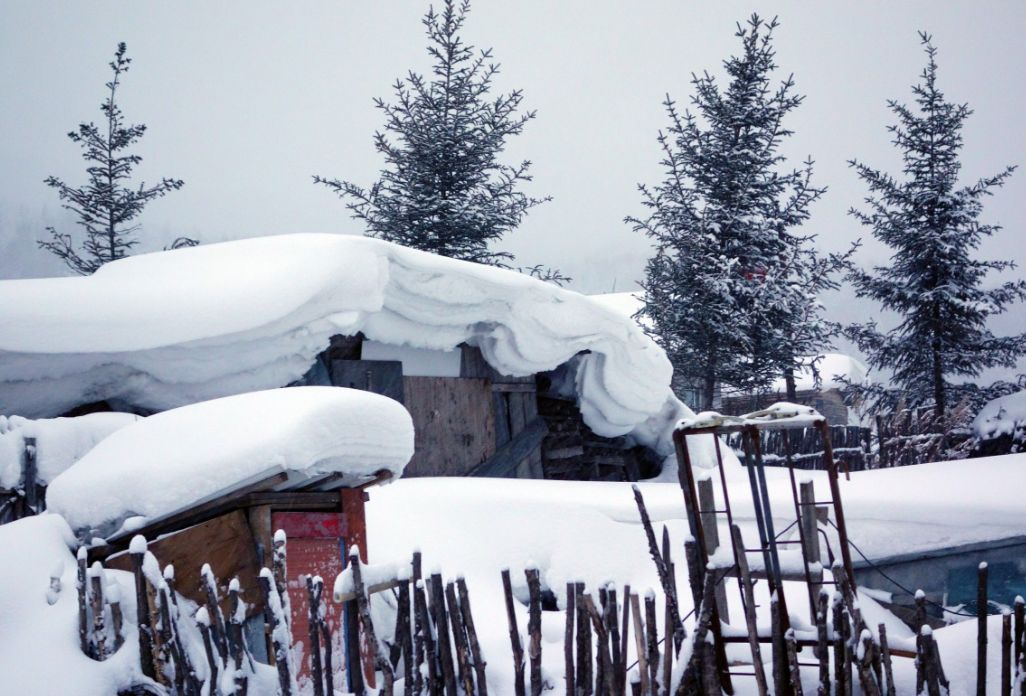 【诗词原创】王月|紫燕翩翩轻剪水桃花一朵又逢春