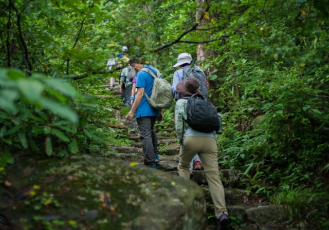 诗意到极致的江南小镇,最有韵味江南小城