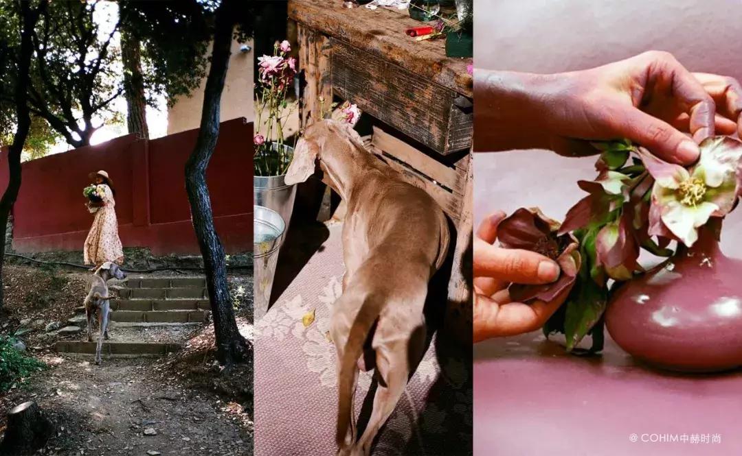 花艺设计师可以转行做什么,花艺设计每天都需要做些什么事情