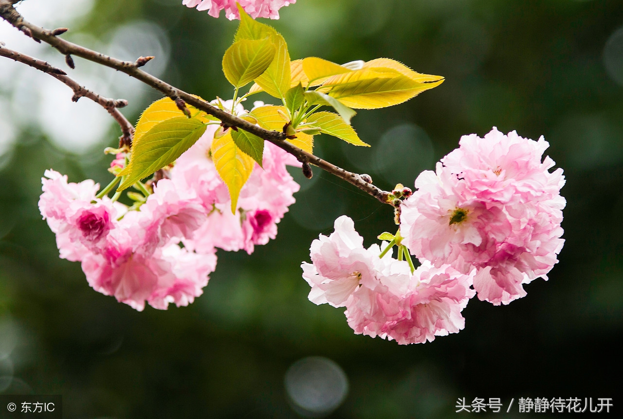 同甘共苦只能同甘不能共苦的图片,同甘共苦只能同甘不能共苦啥意思