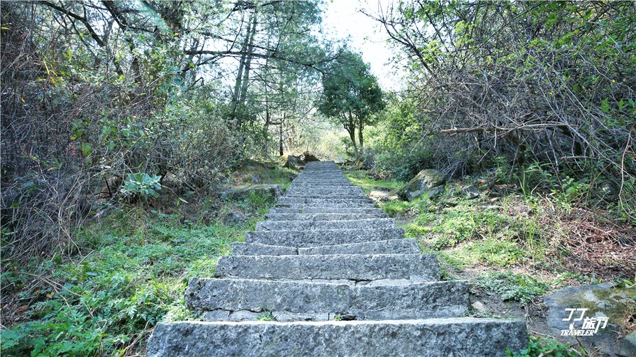 苍山现在变成了这样，让我如何再风花雪月