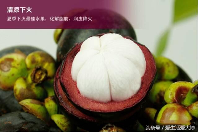 广西山竹几月份上市,越南山竹上市时间