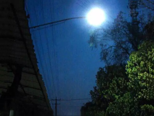 照泥鳅用什么工具,照泥鳅用什么颜色灯光好