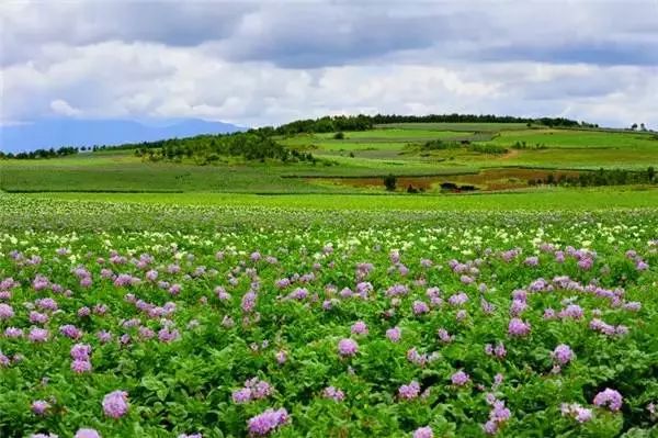 外地人不来丽江的10大理由！简直不能容忍……