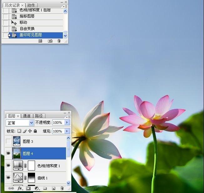 拍荷花用ps做成水墨画方法,ps怎样将拍的荷花p得漂亮免费教程