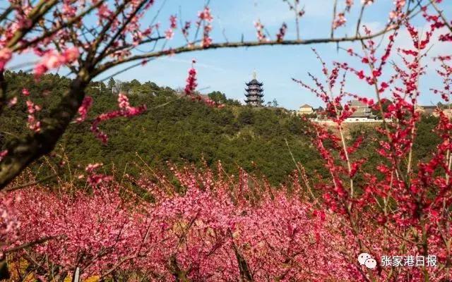 北京电影学院和张家港市有大计划！难道要开发另一个“横店”？