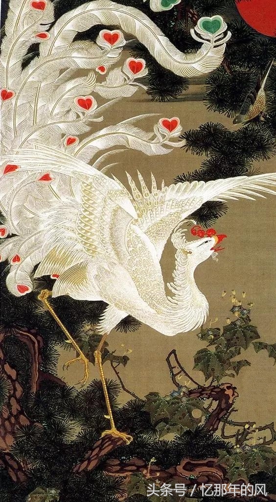 美丽的孔雀和凤凰吉祥的象征,孔雀和凤凰的寓意及象征