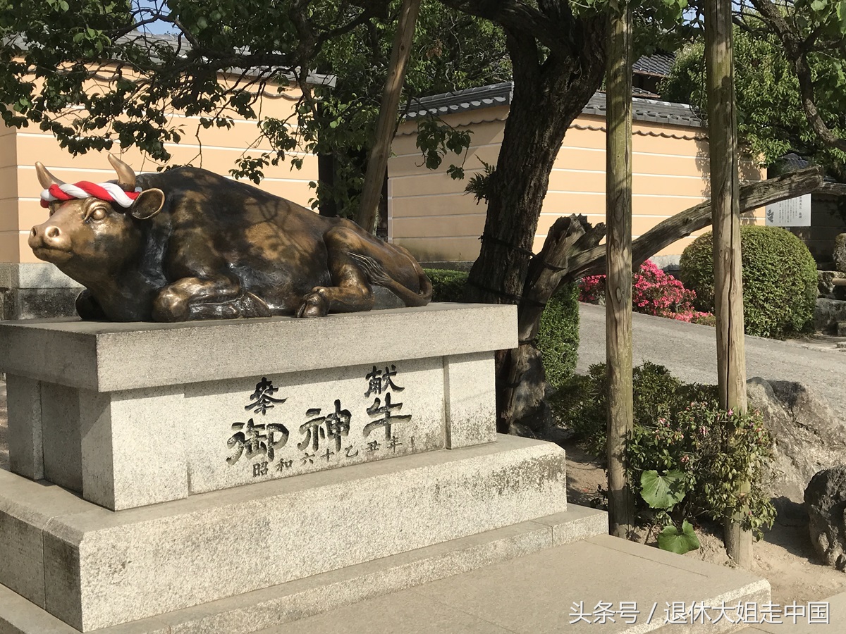 邮轮旅游必备的安全常识,邮轮旅行的十大禁忌