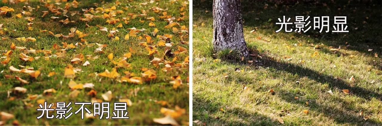 不会玩多曝摄影？看完这10个问题就会了