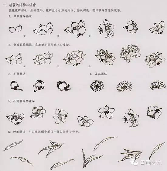 桃花的步骤画法，春天桃花盛开手把手教你画。