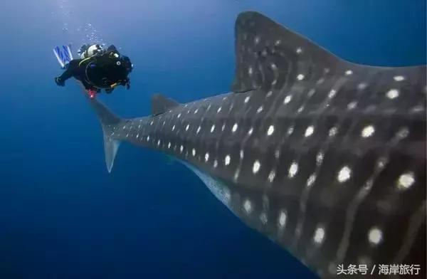 泰国9个最不能错过的美丽海岛,比普吉岛还美的度假天堂