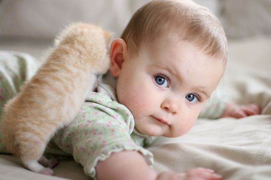 父母脸上有斑孩子怎么预防,父母都有青春痘孩子如何预防