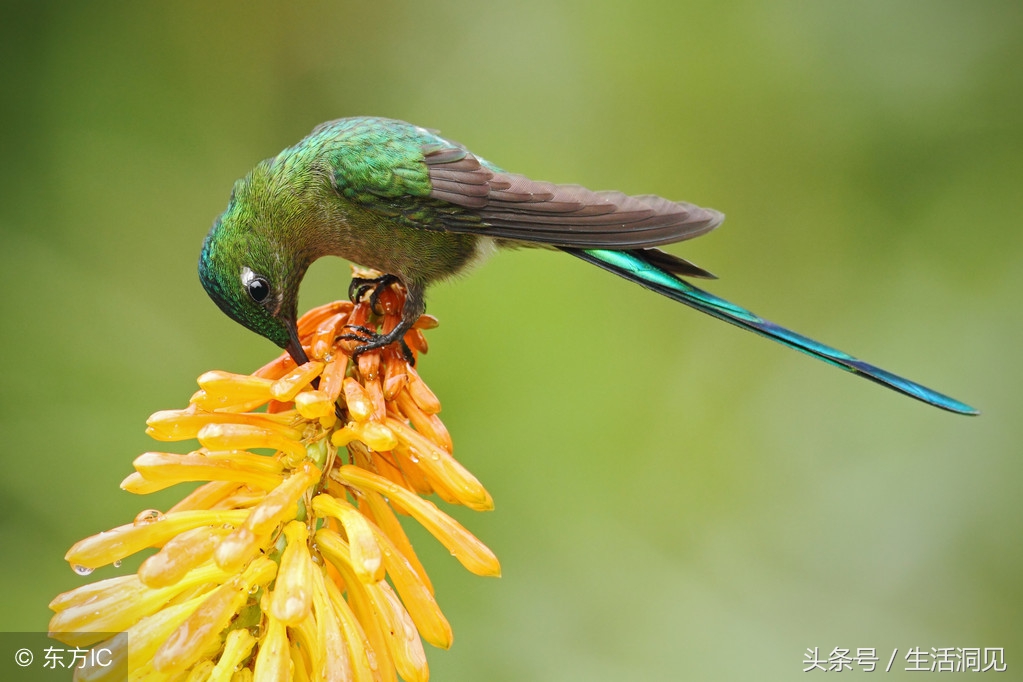 单位混得好的人都懂得这7条规则,要想混得好一定要懂人情世故