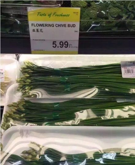 加拿大一年消费多少钱人民币 (加拿大的物价为什么那么贵)