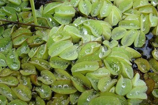 2018年第14周|3D打印行业一周要闻聚焦！