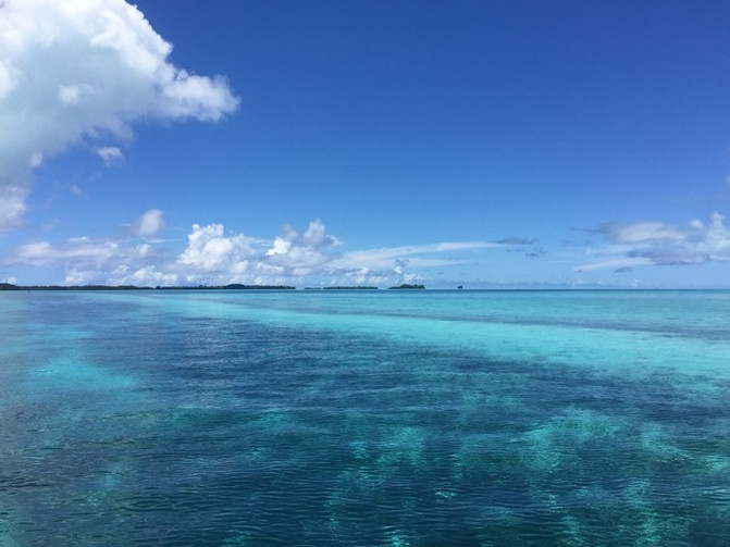 离开喧嚣的城市去野外生活三年,逃离都市喧嚣回归心灵栖居地