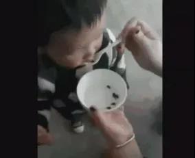 土偏方吃活蝌蚪,活蝌蚪能治什么病