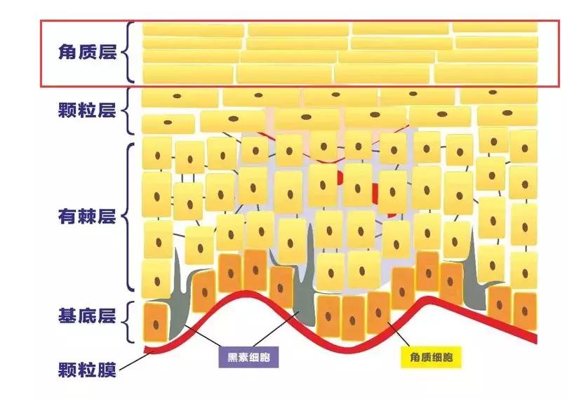 不动刀的隆鼻方法是什么,不动刀不打针的隆鼻的方法
