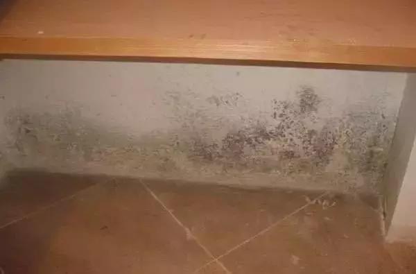 霉菌感染用什么喷雾比较好,潮湿的霉菌用什么消毒比较好