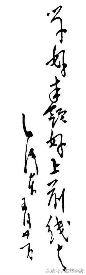 毛*东泽**书法的特点及作品欣赏